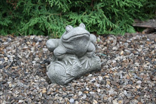 KA111 Frog on Log